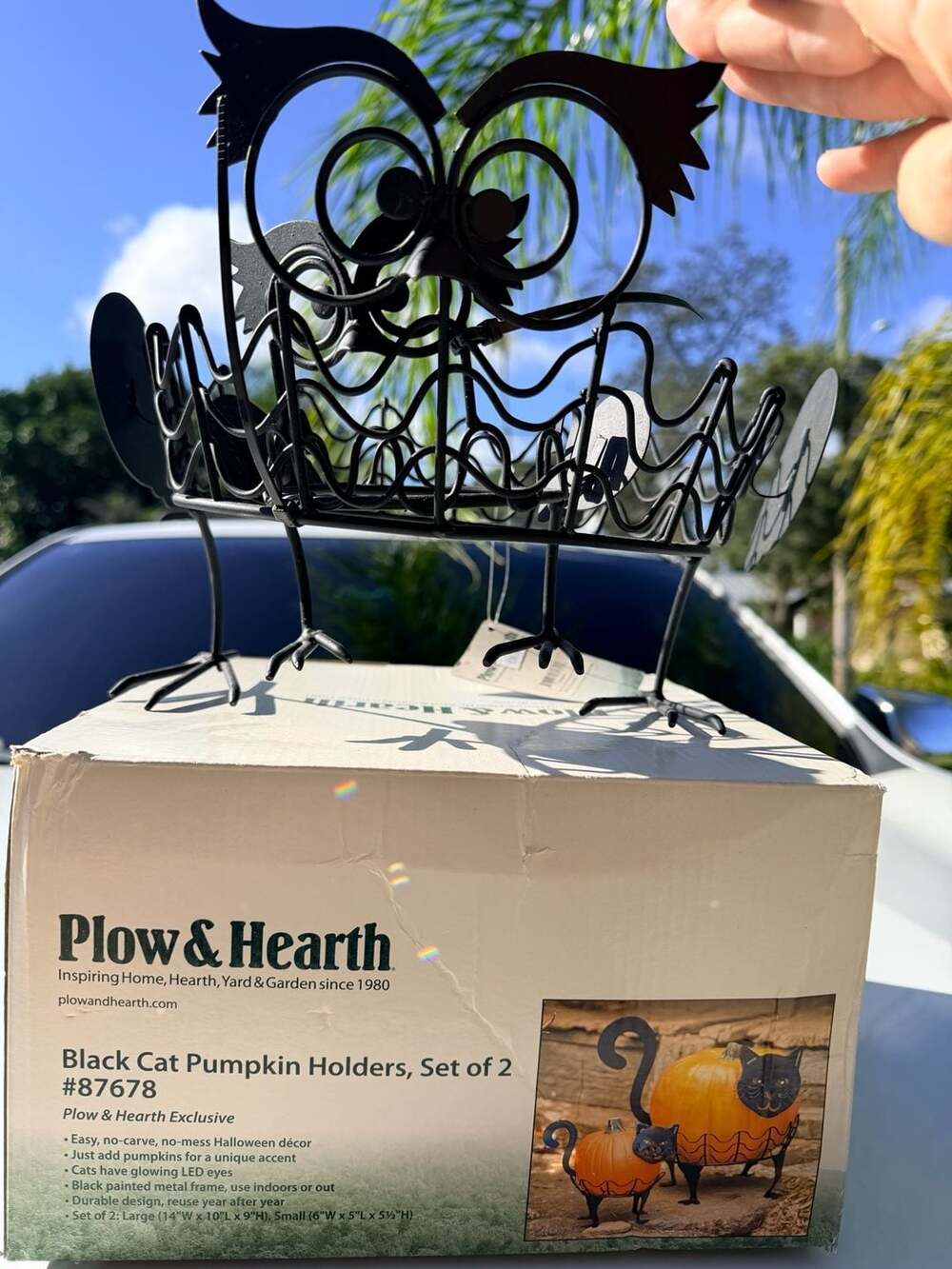 Plow & Hearth Black Cat & Owl Pumpkin Flower Holders Set Of 4 Halloween Decor